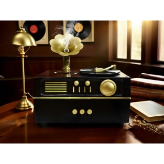 Gramophone Diffuser - Black