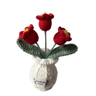 Crochet Lily of the valley with White Pot - Red