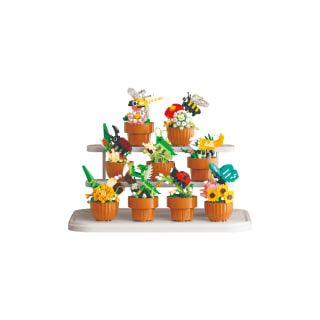 Assorted 9 Flora and Flutter CDU
