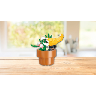 Assorted 9 Flora and Flutter CDU