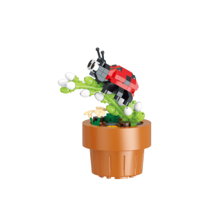 Assorted 9 Flora and Flutter CDU