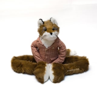 Keep the Draughts at Bay Fox Draught Excluder