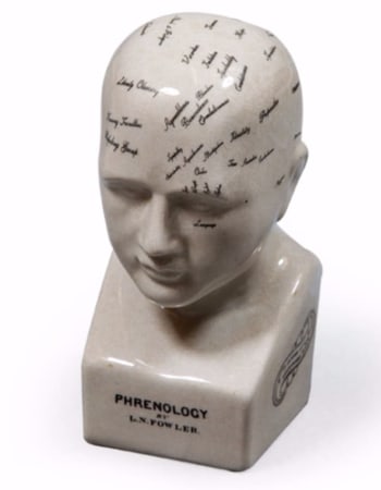 Small Antiqued Ceramic Phrenology Head