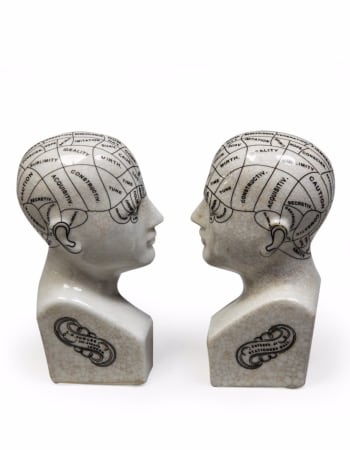 Antiqued Ceramic Phrenology Head Bookends/ Ornaments