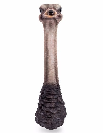 Ostrich Head Wall Figure