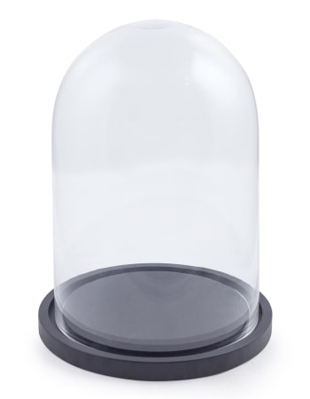 Small Glass Dome/Cloche on Black Wooden Base