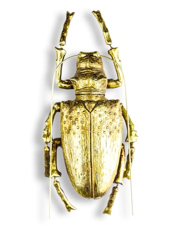 Large Gold Beetle Wall Decor (to be bought in qtys of 2)