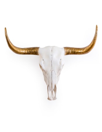 Extra Large Bison Wall Skull with Gold Horns