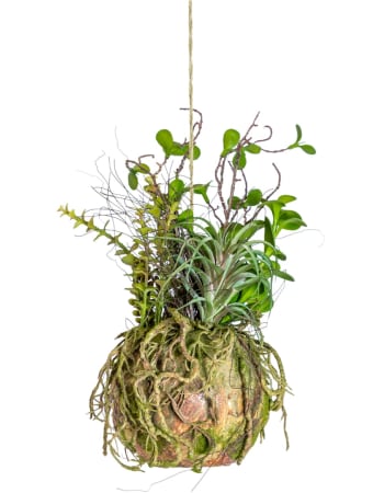 Ornamental Hanging Moss Ball with Plants (to be bought in qtys of 6)
