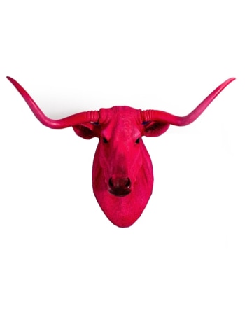 Pink Steer Wall Head