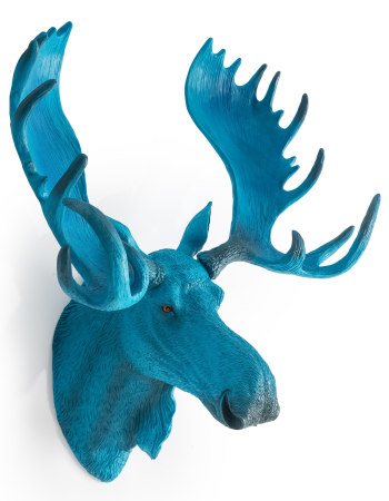 Electric Blue Moose Wall Head