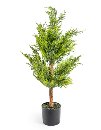 Small Potted Conifer Tree (to be bought in qtys of 4)