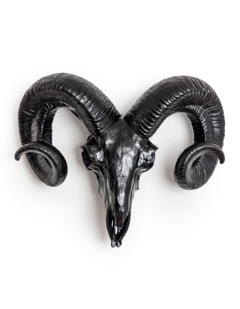 Matt Black Ram Skull Wall Head