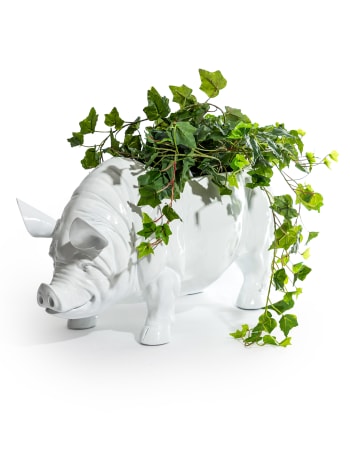 Extra Large Bright White Pig Planter