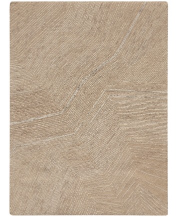 ANG01 CAMEL