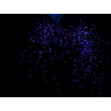 Le Maitre PP221 Chinese Confetti Airburst Blue Stage Electrics