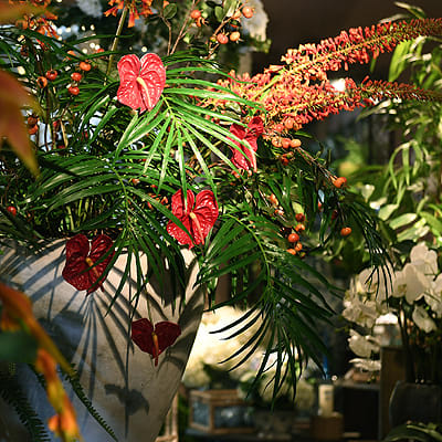 Coach House floral show stand at NEC Birmingham Autumn fair 2019