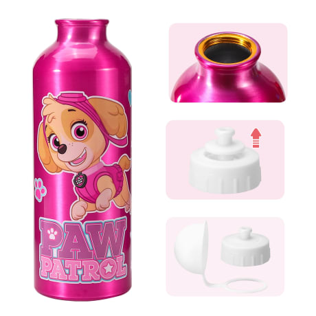 Paw Patrol Skye Aluminium Bottle