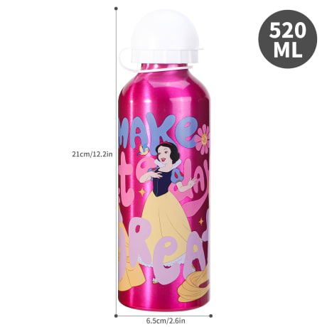 Princess 500ml Aluminium Bottle