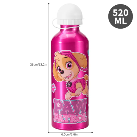 Paw Patrol Skye 500ml Aluminium Bottle
