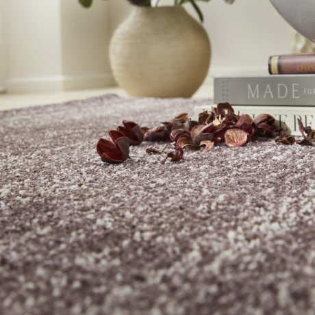 SOM101 PLUM