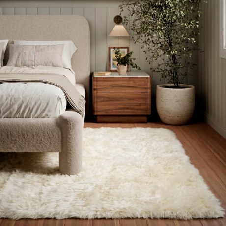 SHEEP IVORY