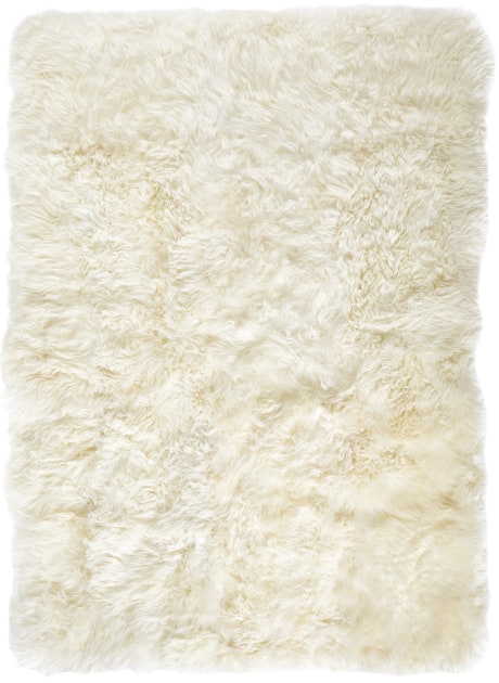 SHEEP IVORY