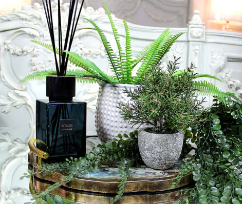Nicky Cornell Sences Extra Large Reed Diffusers and artificial plants