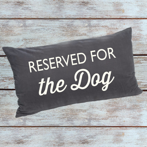 Reserved for the Dog charcoal grey embroidered cushion with duck foam pad