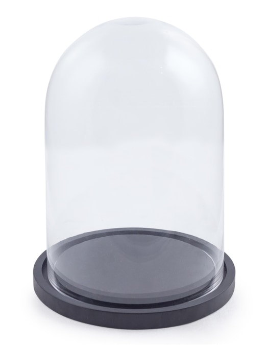 Small Glass Dome/Cloche on Black Wooden Base