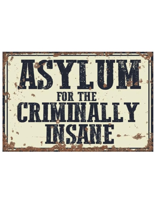 Large Retro Metal "Asylum" Wall Sign 50x70cm