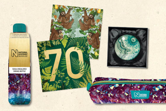 Natural History Museum Gift Stationery and Greeting Cards from Museums & Galleries