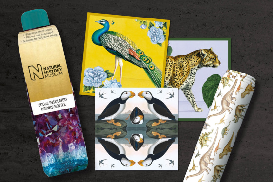 Natural History Museum Gift Stationery and Greeting Cards from Museums & Galleries