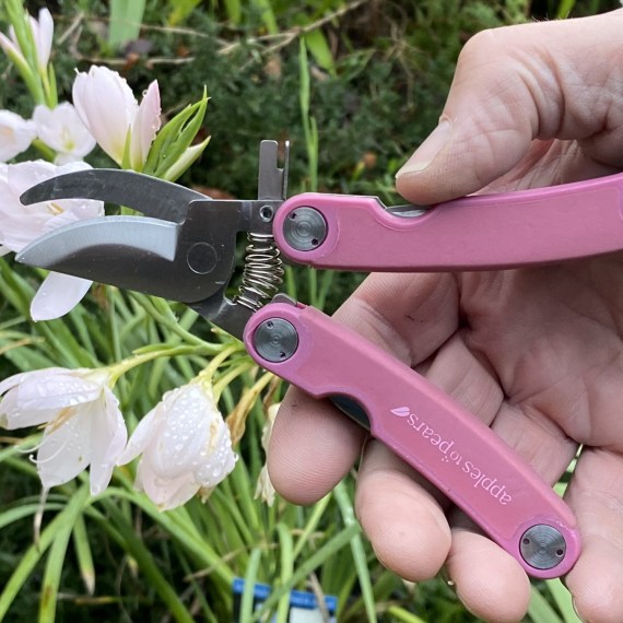 Folding Pocket Secateurs Fuchsia Pink Garden Gifts Apples to Pears