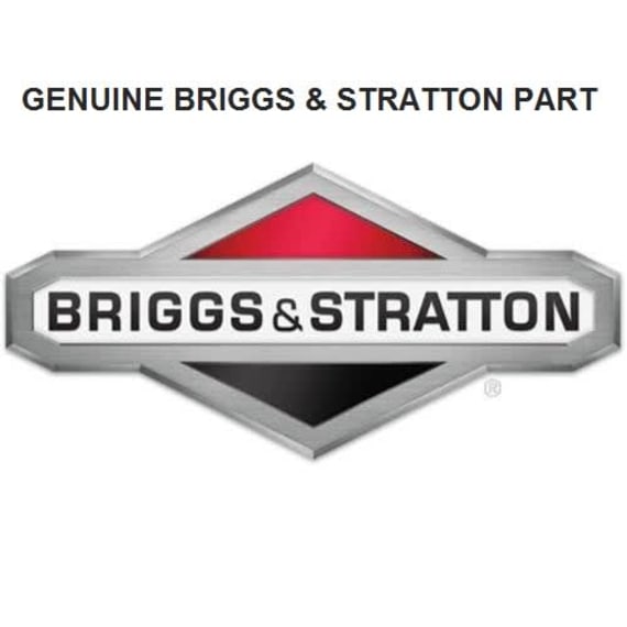 Briggs and Stratton Foam-Filter (5 X 796254)