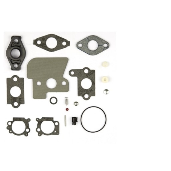 Briggs and Stratton Kit-Carb Overhaul