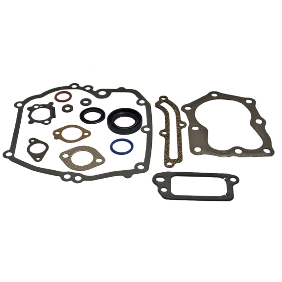 Briggs and Stratton Gasket Set-Valve