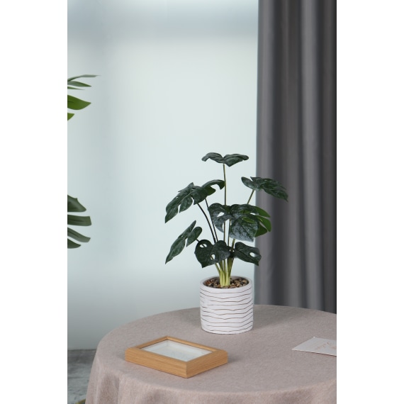 Serena Pot Plant, 80cm Height