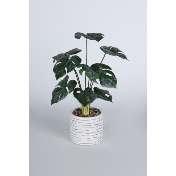 Serena Pot Plant, 80cm Height