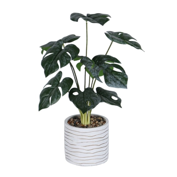 Serena Pot Plant, 80cm Height