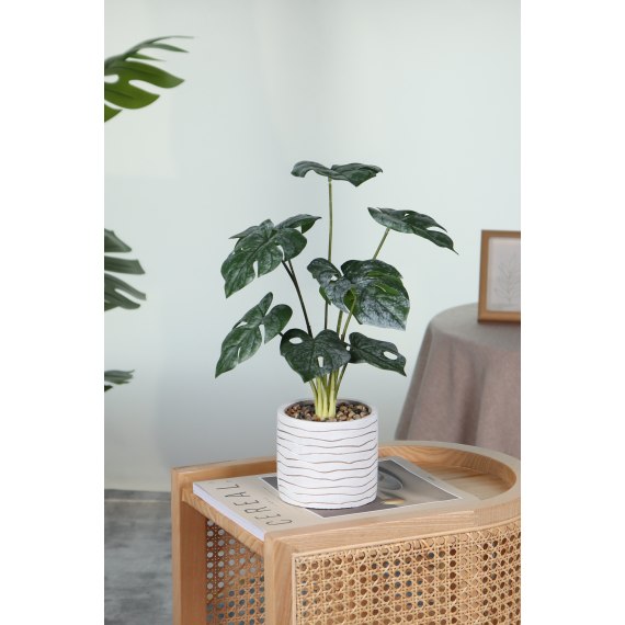 Serena Pot Plant, 80cm Height