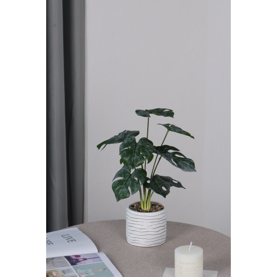 Serena Pot Plant, 80cm Height