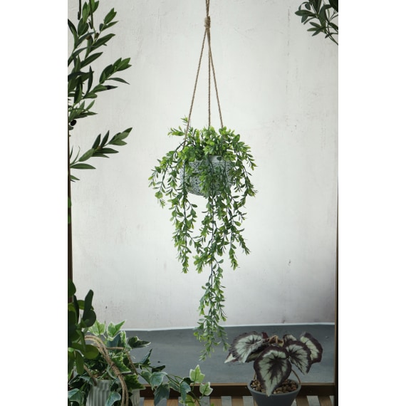 Persephone Hanging Plant - total 88cm Height