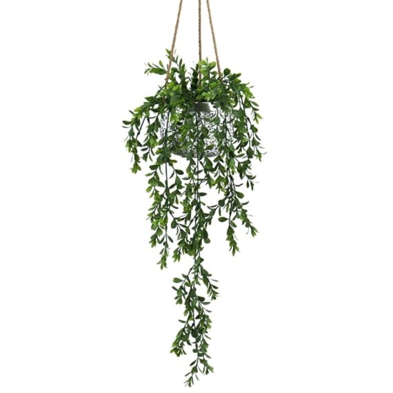 Persephone Hanging Plant - total 88cm Height