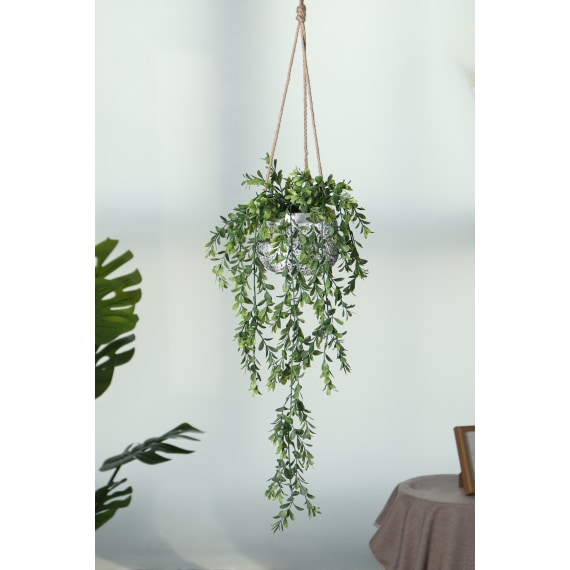 Persephone Hanging Plant - total 88cm Height