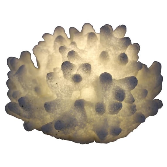 Mini Bulged Coral Lamp