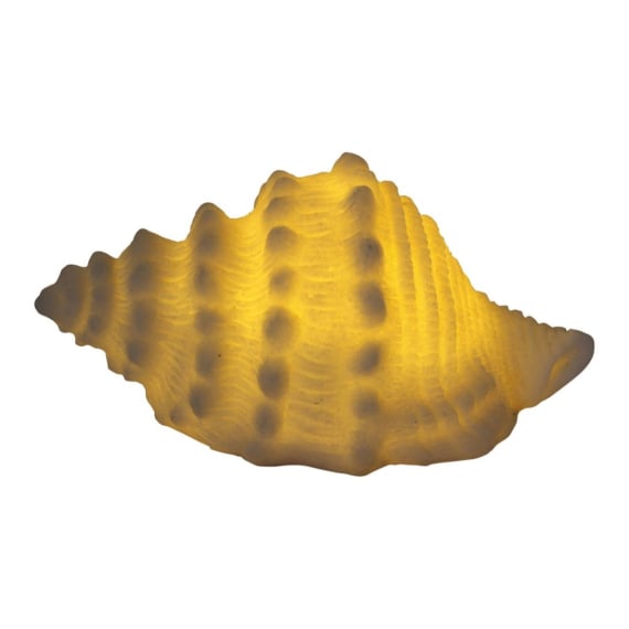Mini Small Horse Conch Shell Lamp
