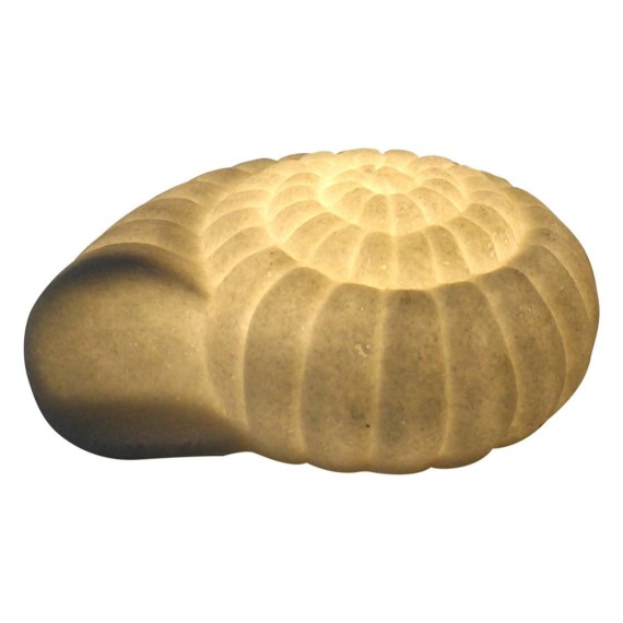 Mini Ammonite Shell Lamp