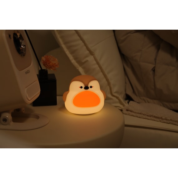 Rocky The Robin - Lumi Buddy Nightlight