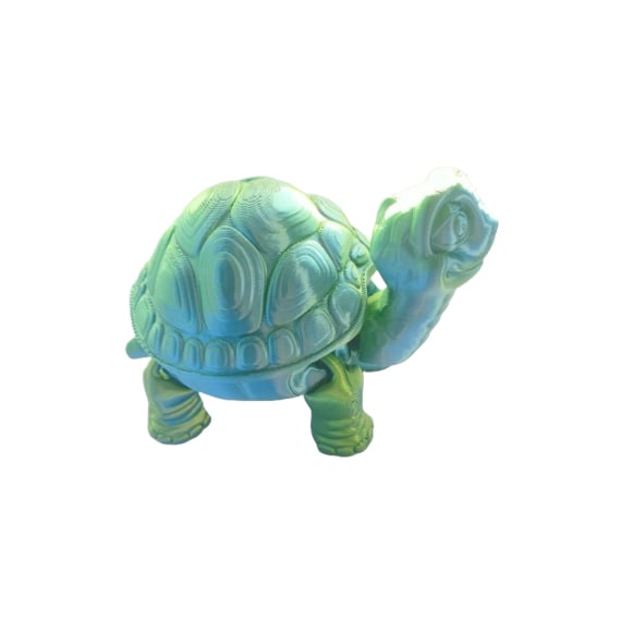 Yellow Blue Green 3D Printed Tortoise